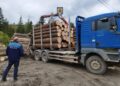 camion lemn Radauti