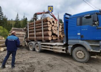 camion lemn Radauti