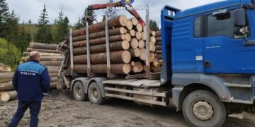 camion lemn Radauti