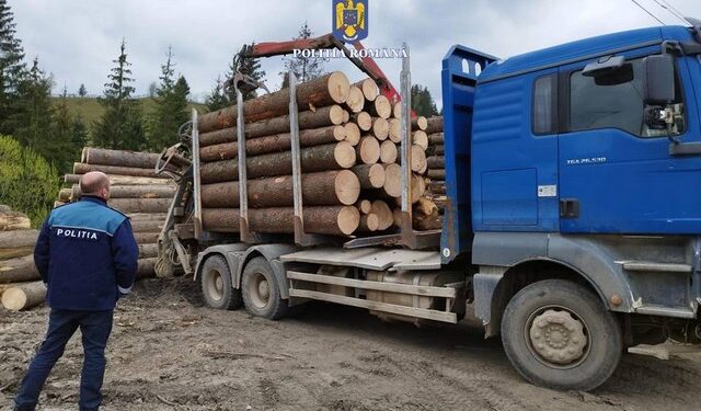 camion lemn Radauti