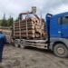 camion lemn Radauti