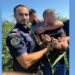 Fugarul care a abandonat mașina în Mehedinți a fost prins în Dolj. Unde l-au găsit polițiștii