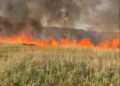 Bacău | Peste 80 de hectare de vegetație uscată au ars în comuna Orbeni