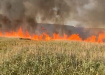 Bacău | Peste 80 de hectare de vegetație uscată au ars în comuna Orbeni