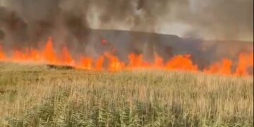 Bacău | Peste 80 de hectare de vegetație uscată au ars în comuna Orbeni