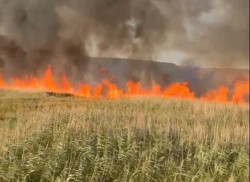 Bacău | Peste 80 de hectare de vegetație uscată au ars în comuna Orbeni