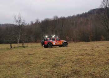 Tragedie în Vrancea: un bărbat a murit după ce a fost prins sub un copac, la Nistorești