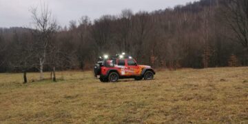 Tragedie în Vrancea: un bărbat a murit după ce a fost prins sub un copac, la Nistorești