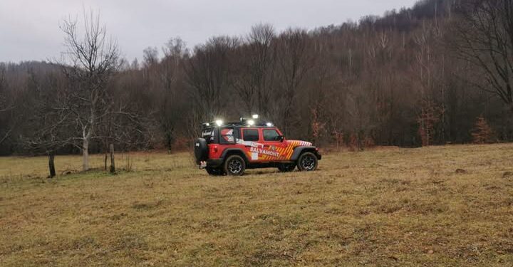 Tragedie în Vrancea: un bărbat a murit după ce a fost prins sub un copac, la Nistorești