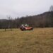 Tragedie în Vrancea: un bărbat a murit după ce a fost prins sub un copac, la Nistorești