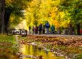 Toamna începe cu temperaturi de vară. Vreme mai caldă decât normalul în următoarele săptămâni