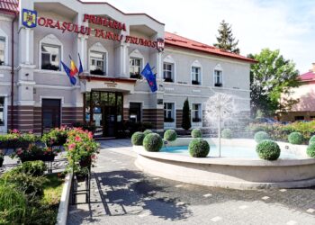 Targu Frumos