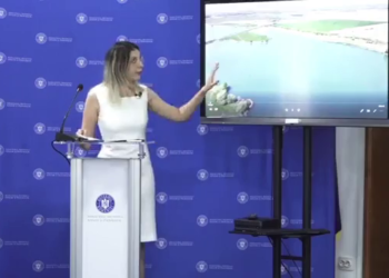 Diana Buzoianu - Ministrul Mediului