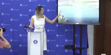 Diana Buzoianu - Ministrul Mediului