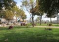 A întâlnit un bătrân de 90 de ani pe o bancă în Podu Roș și i-a cerut cărți. Fără milă, tânăra a ajuns în arest după ce a mers cu el acasă