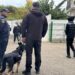 Razie în apropierea școlilor din Negrești. Cinci elevi au fost găsiți în afara orelor de curs