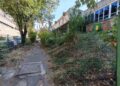 Bătaie de joc la Sala Polivalentă din Iași! Bălăriile de la intrarea suporterilor zac necosite de săptămâni întregi