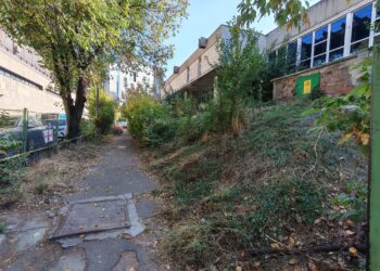 Bătaie de joc la Sala Polivalentă din Iași! Bălăriile de la intrarea suporterilor zac necosite de săptămâni întregi