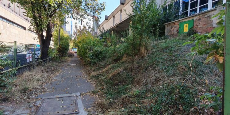 Bătaie de joc la Sala Polivalentă din Iași! Bălăriile de la intrarea suporterilor zac necosite de săptămâni întregi