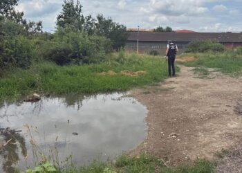 Garda de mediu amenzi în Iași