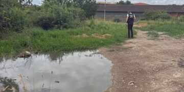 Garda de mediu amenzi în Iași