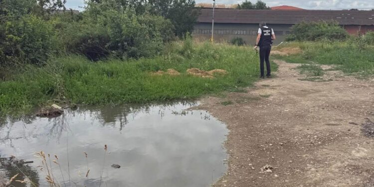 Garda de mediu amenzi în Iași