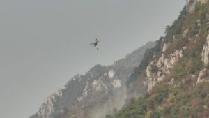 Incendii parcul național 