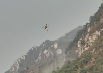 Incendii parcul național