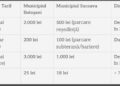 Tarife parcări de lux în Botoșani Prețuri exagerate