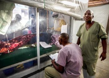 Ebola Congo, epidemie