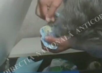 Șeful Permiselor din Ilfov, reținut de DNA pentru luare de mită. Anchetatorii susțin că examenele auto ar fi fost facilitate contra cost