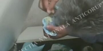 Șeful Permiselor din Ilfov, reținut de DNA pentru luare de mită. Anchetatorii susțin că examenele auto ar fi fost facilitate contra cost
