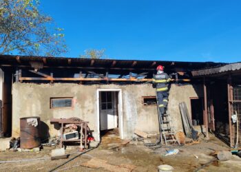 Incendiu la o anexă gospodărească din Scobinți. Un porc a fost salvat de pompieri