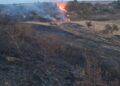 Incendiu de vegetație în comuna Dragomirești. Flăcările s-au extins pe aproximativ 30 de hectare și au amenințat o pădure de pini