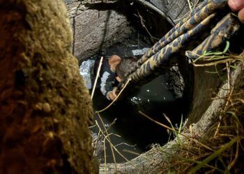 O femeie și un șofer Bolt, eroi în această dimineață la Iași. Un copil a căzut într-un canal descoperit, pe Canta