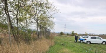 Doi câini, împușcați mortal lângă fosta groapă de gunoi din Iași. Unul era îngrijit de doi ani de o iubitoare de animale: „Acum sunt în saci negri”