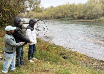 Trei cetățeni din Bangladesh, prinși când încercau să intre ilegal în România. Voiau să ajungă în Spania pentru a-și găsi de muncă