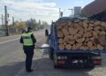 A oprit la trecerea cu calea ferată din Roznov și a fost prins cu lemne fără acte. Ce au descoperit polițiștii