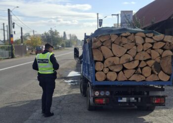 A oprit la trecerea cu calea ferată din Roznov și a fost prins cu lemne fără acte. Ce au descoperit polițiștii