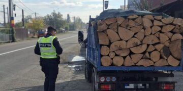 A oprit la trecerea cu calea ferată din Roznov și a fost prins cu lemne fără acte. Ce au descoperit polițiștii