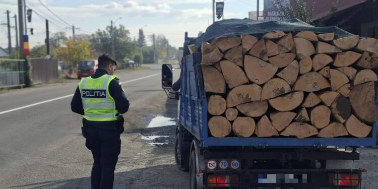 A oprit la trecerea cu calea ferată din Roznov și a fost prins cu lemne fără acte. Ce au descoperit polițiștii