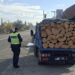 A oprit la trecerea cu calea ferată din Roznov și a fost prins cu lemne fără acte. Ce au descoperit polițiștii