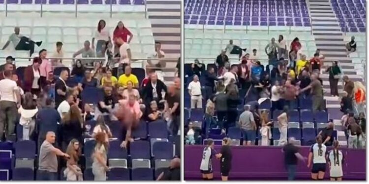 Scandal în tribune la un meci de handbal de junioare. Părinții s-au luat la bătaie sub privirile fetelor