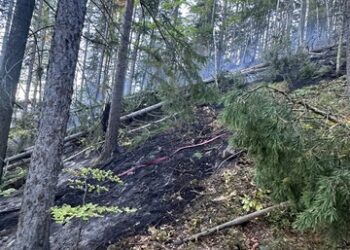 incendiu padure