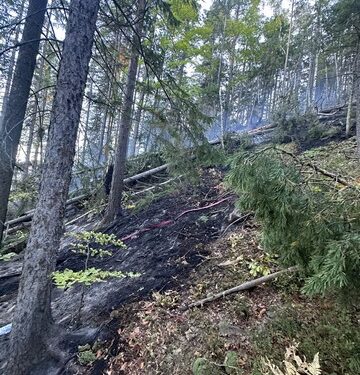 incendiu padure