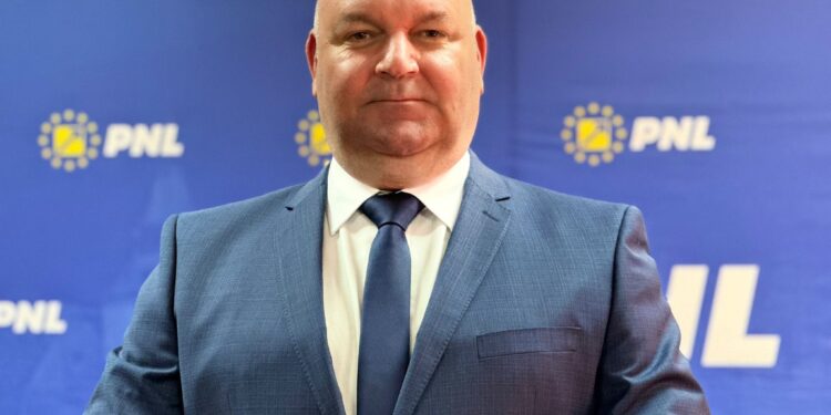 Ovidiu Ovesea PNL