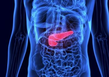 pancreas