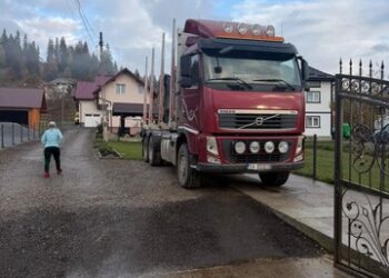 Perchezitii Poiana Negri