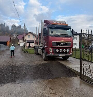 Perchezitii Poiana Negri