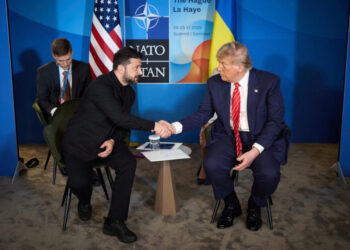Donald Trump - Vladimir Zelenski